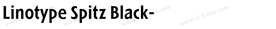 Linotype Spitz Black字体转换